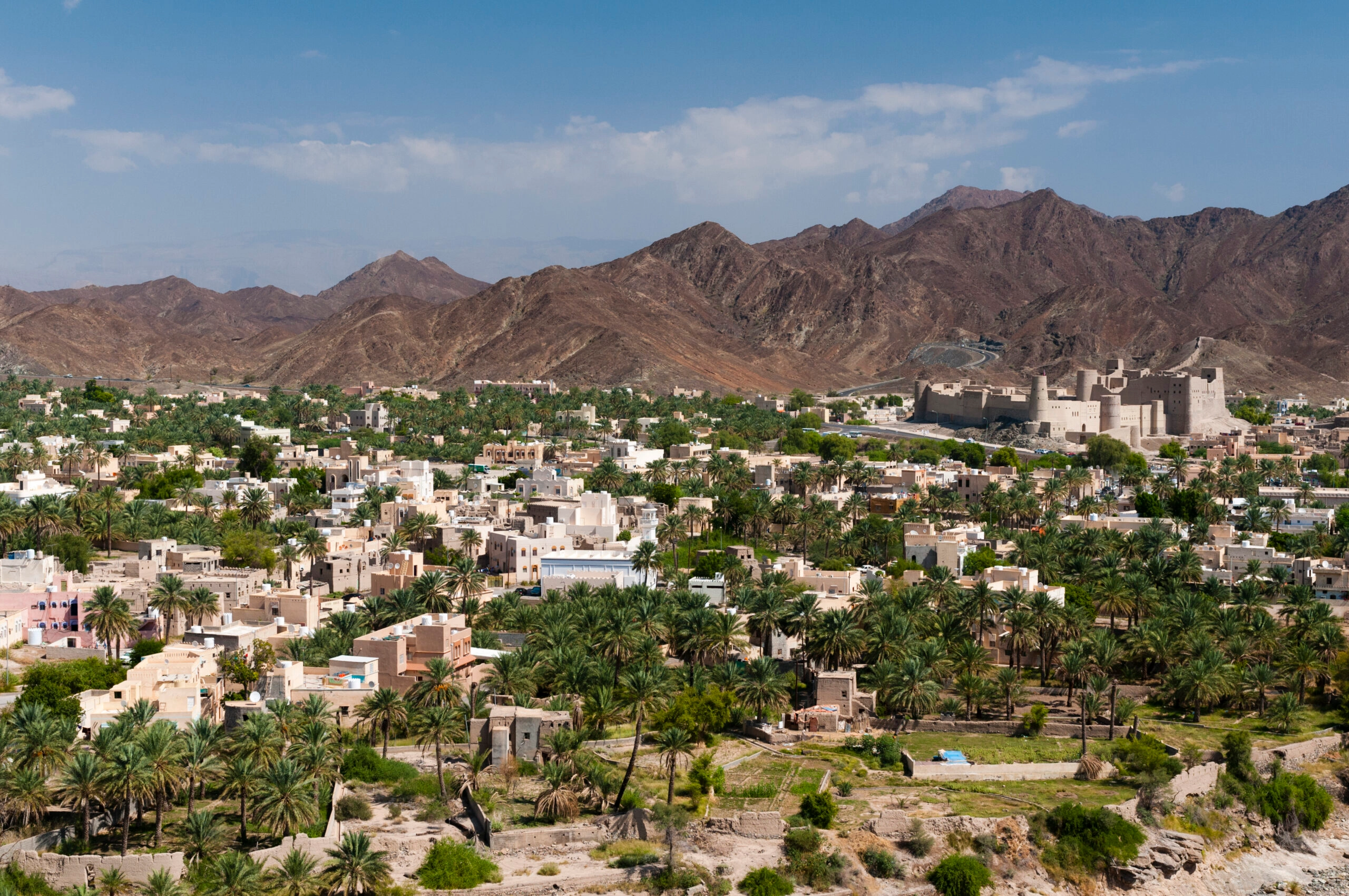 A wide landscape view of an ancient stone fort in a desert oasis town, surrounded by lush green palm trees and rugged brown mountains under a bright blue sky.